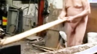Silver Fox Strokes Wood at the Sawmill