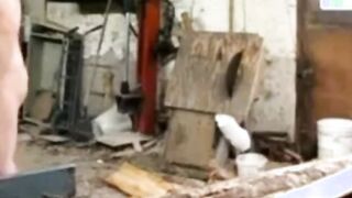Silver Fox Strokes Wood at the Sawmill