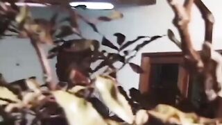 Ruivinha gostosa do rabão fudendo com o negão dotado