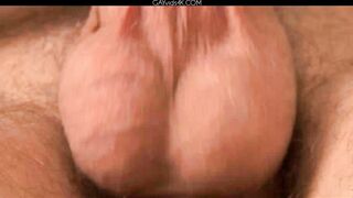 Nicholas Single