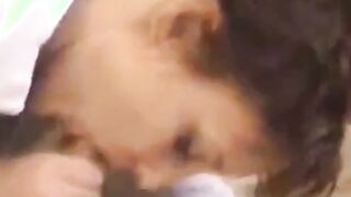Britisk-norske Milf sin Blowjob Delight