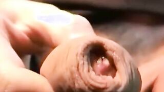 Twink's First Taste of a Big Cock
