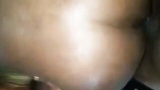 Fat Black Bareback Chub Amateur Fuck