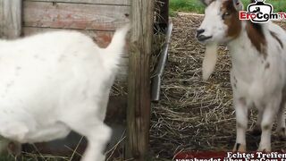 Sex on a farm with a willing blonde