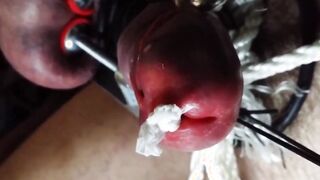Stainless Tube CBT, Ball Clamps & Super Glue - Gay BDSM