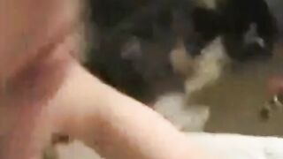 Asian Amateur Close-Up Pussy Webcam Action