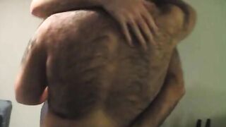 Bear Son's Cuddle with Daddy Bear