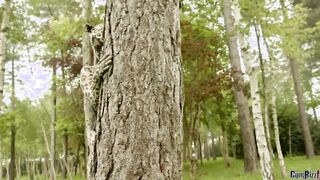 Die heiße Wildkatze im Wald gevogelt