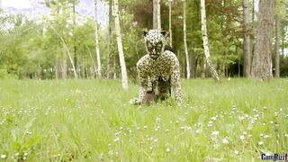 Die heiße Wildkatze im Wald gevogelt