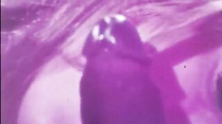 VINTAGE CIM BLOWJOB + IR CUMPILATION