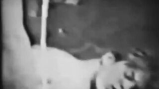 Vintage Bareback Blowjob by Amateurs