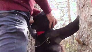 tied to a tree,  rammed in her throat