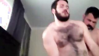 Osos amateurs calientes y peludos
