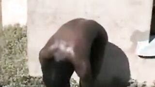 African Men Jerk Off Outdoors for Cash