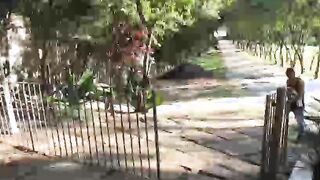 Loirinha gostosa do rabão fudendo com o negão dotado