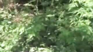 Big Daddies Banging Bareback