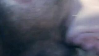 Daddy's Blowjob Adventure