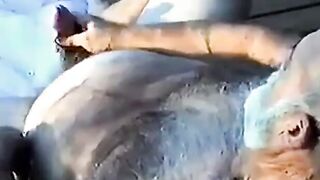 Young Man Sucks Off a Hairy Grandpa