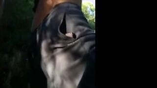Old Daddies Bareback in the Great Outdoors