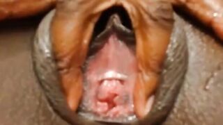 Black Amateur Pussy on Webcam