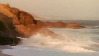 1993 El Deseo De Antonio