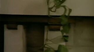 1993 El Deseo De Antonio
