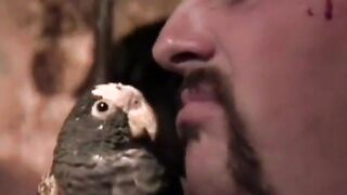 Porn From The Vault - Vol 20