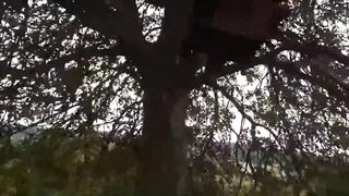Outdoors Country Walk macht mich an