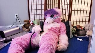 Vicky Tart Furry - Testing VacuGlide