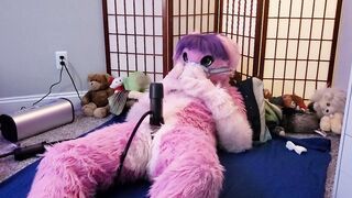 Vicky Tart Furry - Testing VacuGlide