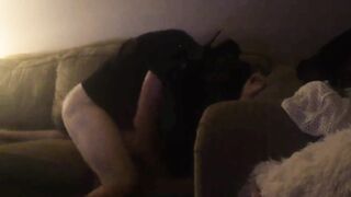 Cutie American Hotwife Cuckold Fucking Compilation
