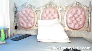 liittlekittyx Ts Web Cam Performance
