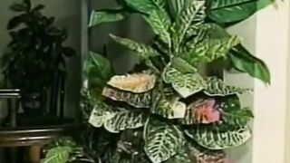 Busty Amateur's Vintage Porn Shoot