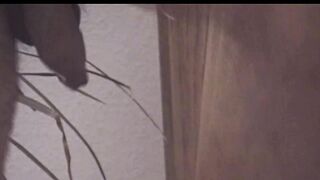 Pot Head  HD gay Porn