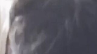 Indian Amateur Sucks a Big Black Cock