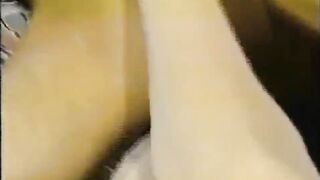Porn From The Vault - Vol 84
