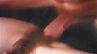 Porn From The Vault - Vol 80