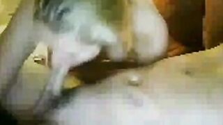 Svenska Parets Webcam Adventure