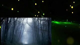 Dogging Tales Documentary Full about dogging