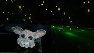 Dogging Tales Documentary Full about dogging