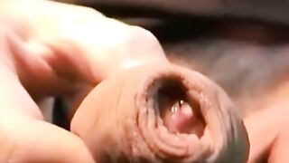 Twink's First Taste of a Big Cock