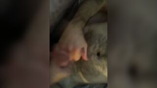 Big Cocks Heads Together for Group Sex