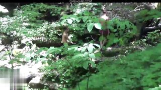 Anthony Verusso And Travis Stevens Bareback In Asheville