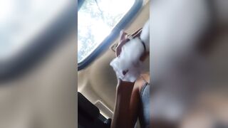 Desi best car sex
