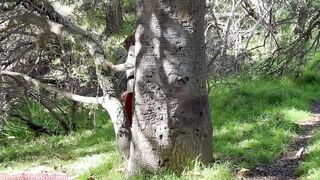 Urlauberin macht im Wald eine Fickpause