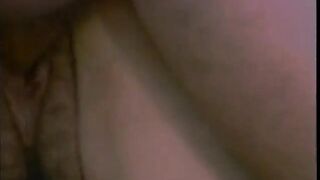 Porn From The Vault - Vol 180
