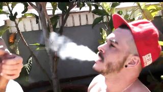 Roof Cats HD gay Porn