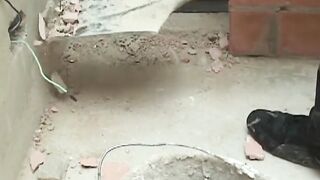 Lusty construction working twinks engage in anal drilling