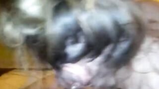 Mandy's Amateur Adventure: BJ, Ass Licking & Cum Swallowing