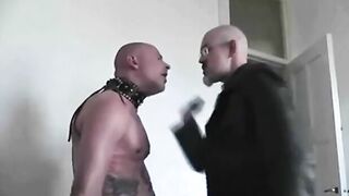 Slapped Bear Face